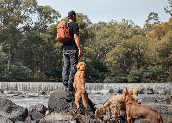 Bellroy - Venture Ready Pack 26L